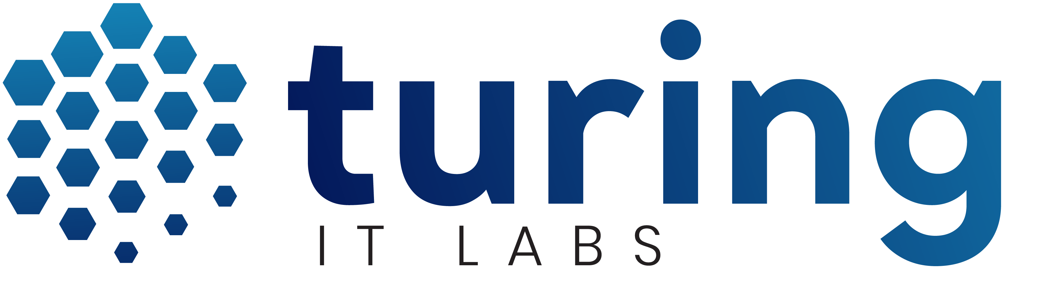 Turing IT Labs